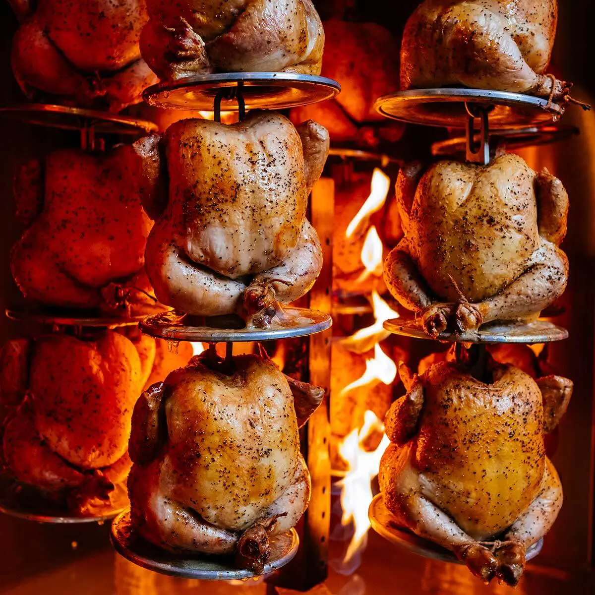 WHATCOM GAS VERTICAL ROTISSERIE